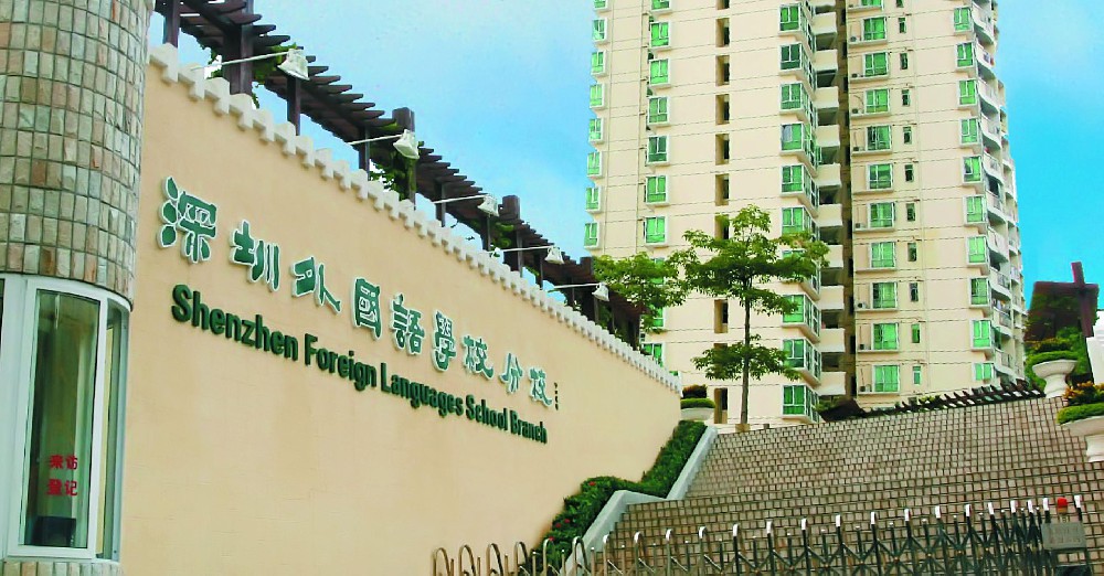 深圳外国语学校防雷整改工程